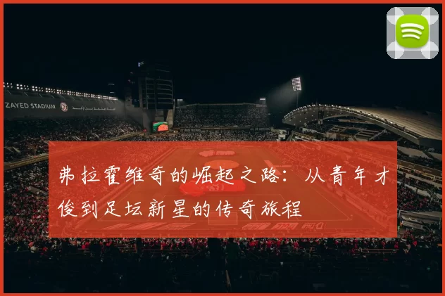 弗拉霍维奇的崛起之路：从青年才俊到足坛新星的传奇旅程