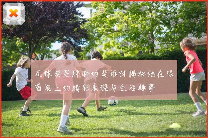 足球明星胖胖的是谁呀揭秘他在绿茵场上的精彩表现与生活趣事