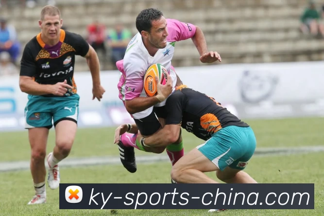 开云平台生态图